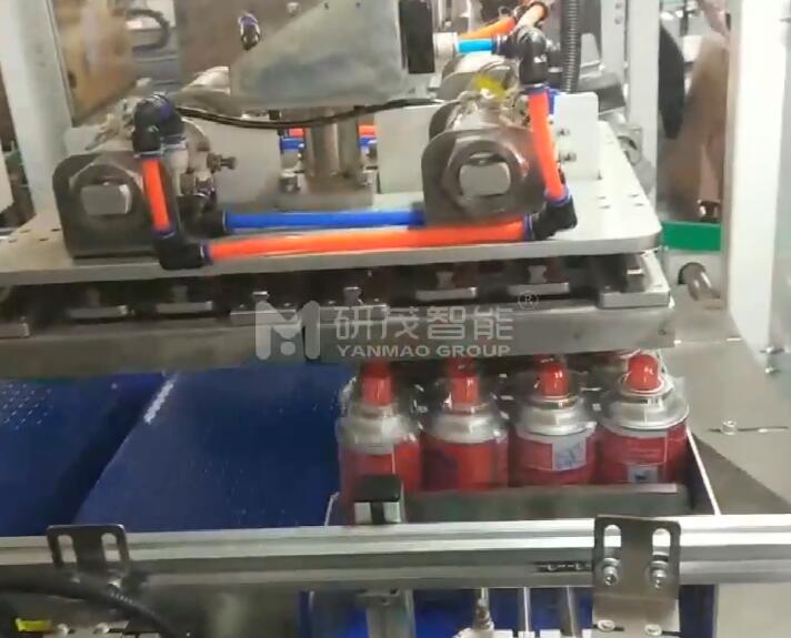 河北卡式氣瓶裝箱機(jī)包裝流水線設(shè)備