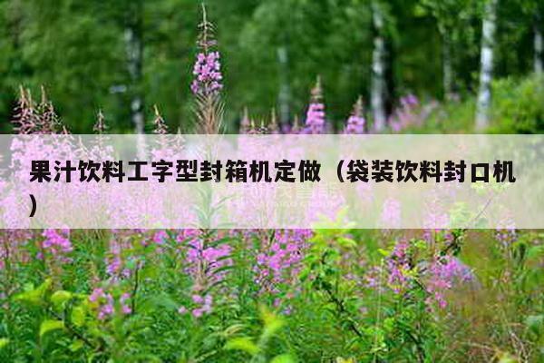 果汁飲料工字型封箱機定做（袋裝飲料封口機）