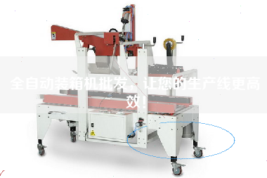 全自動裝箱機批發，讓您的生產線更高效！