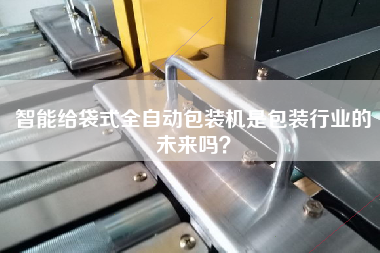 智能給袋式全自動包裝機是包裝行業(yè)的未來嗎