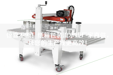 驚喜不斷！紙箱包裝流水線廠家直供，讓您的生產(chǎn)線更高效！