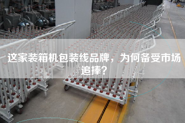 這家裝箱機(jī)包裝線品牌，為何備受市場(chǎng)追捧