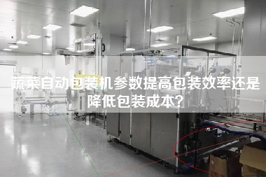 蔬菜自動包裝機(jī)參數(shù)提高包裝效率還是降低包裝成本? 蔬菜自動包裝機(jī)參數(shù)提高包裝效率還是降低包裝成本?