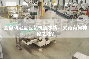 全自動(dòng)定量包裝機(jī)流水線,究竟有何神秘之處