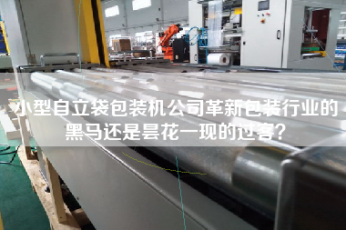 小型自立袋包裝機(jī)公司革新包裝行業(yè)的黑馬還是曇花一現(xiàn)的過(guò)客？
