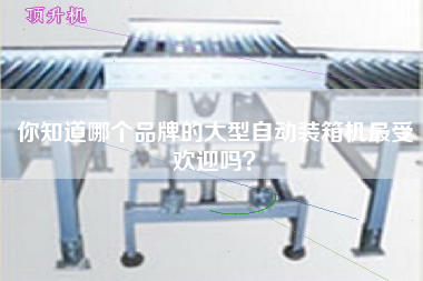 你知道哪個(gè)品牌的大型自動(dòng)裝箱機(jī)最受歡迎嗎？