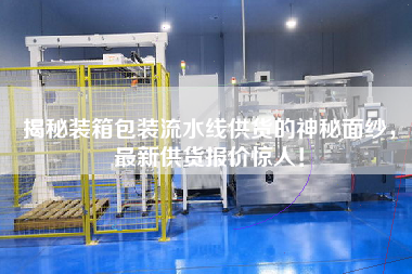 揭秘裝箱包裝流水線供貨的神秘面紗，最新供貨報價驚人！