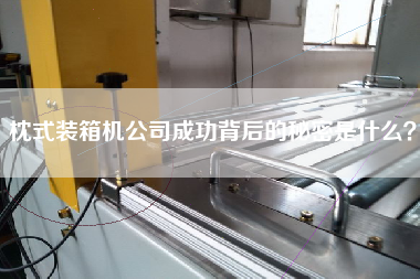 枕式裝箱機(jī)公司成功背后的秘密是什么? 枕式裝箱機(jī)公司成功背后的秘密是什么?