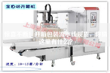 驚喜不斷!開箱包裝流水線現貨,你猜這里有什么? 驚喜不斷!開箱包裝流水線現貨,你猜這里有什么?