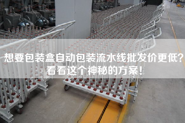 想要包裝盒自動包裝流水線批發(fā)價更低？看看這個神秘的方案！