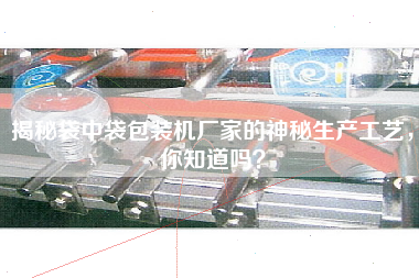 揭秘袋中袋包裝機廠家的神秘生產工藝，你知道嗎？