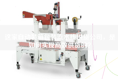 這家自動裝箱包裝流水線供貨公司,是如何實現(xiàn)高效供貨的? 這家自動裝箱包裝流水線供貨公司,是如何實現(xiàn)高效供貨的?