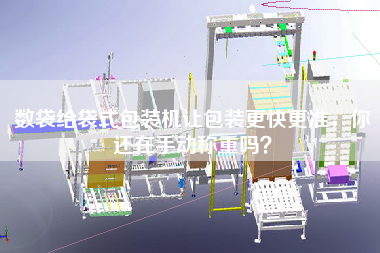 數袋給袋式包裝機讓包裝更快更準，你還在手動稱重嗎？