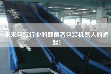 未來包裝行業的顛覆者包裝機器人的崛起！