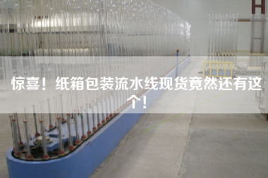 驚喜！紙箱包裝流水線現(xiàn)貨竟然還有這個(gè)！