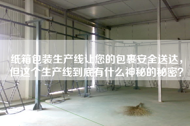 紙箱包裝生產(chǎn)線讓您的包裹安全送達(dá)，但這個生產(chǎn)線到底有什么神秘的秘密？