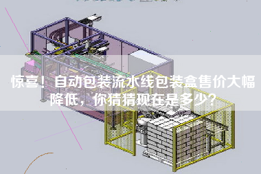 驚喜!自動包裝流水線包裝盒售價大幅降低,你猜猜現在是多少