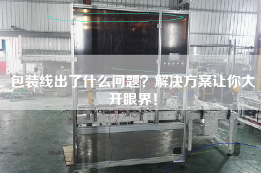 包裝線出了什么問題?解決方案讓你大開眼界! 包裝線出了什么問題?解決方案讓你大開眼界!