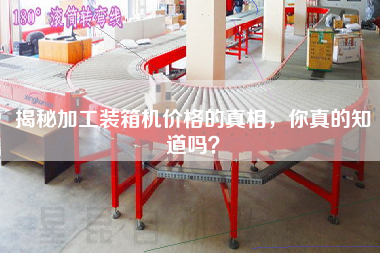 揭秘加工裝箱機價格的真相，你真的知道嗎