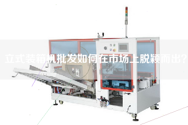 立式裝箱機批發如何在市場上脫穎而出？