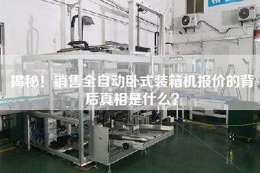 揭秘！銷售全自動臥式裝箱機報價的背后真相是什么