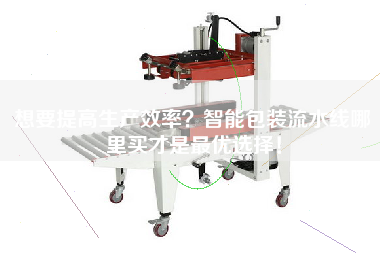 想要提高生產效率?智能包裝流水線哪里買才是最優選擇! 想要提高生產效率?智能包裝流水線哪里買才是最優選擇!