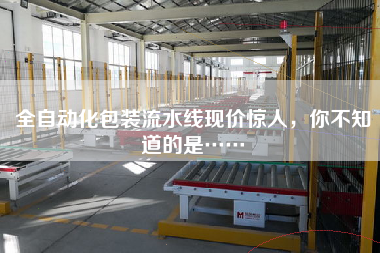 全自動(dòng)化包裝流水線現(xiàn)價(jià)驚人,你不知道的是……
