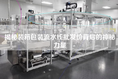 揭秘裝箱包裝流水線批發(fā)價背后的神秘力量