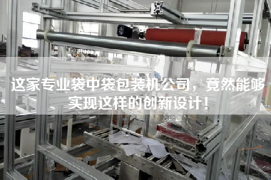 這家專業袋中袋包裝機公司，竟然能夠實現這樣的創新設計！