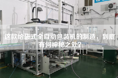 這款給袋式全自動包裝機的制造，到底有何神秘之處
