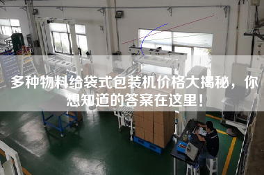 多種物料給袋式包裝機(jī)價(jià)格大揭秘,你想知道的答案在這里! 多種物料給袋式包裝機(jī)價(jià)格大揭秘,你想知道的答案在這里!