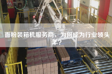面粉裝箱機服務商，為何成為行業領頭羊