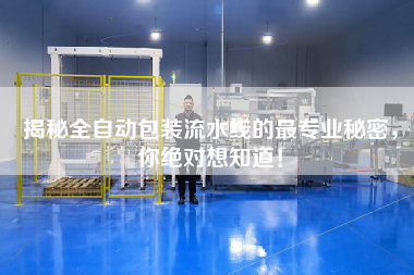 揭秘全自動(dòng)包裝流水線的最專業(yè)秘密，你絕對(duì)想知道！
