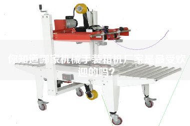 你知道哪家機(jī)械手裝箱機(jī)廠家是最受歡迎的嗎? 你知道哪家機(jī)械手裝箱機(jī)廠家是最受歡迎的嗎?