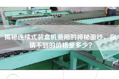 揭秘連續式裝盒機費用的神秘面紗，你猜不到的價格是多少？