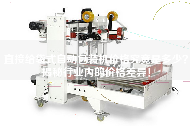 直接給袋式自動包裝機價格究竟是多少揭秘行業內的價格差異！