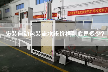 袋裝自動包裝流水線價格到底是多少？