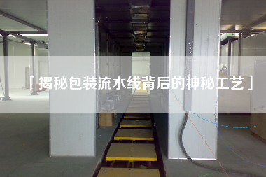 「揭秘包裝流水線背后的神秘工藝」