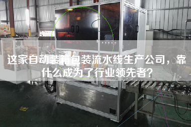 這家自動裝箱包裝流水線生產公司，靠什么成為了行業領先者？