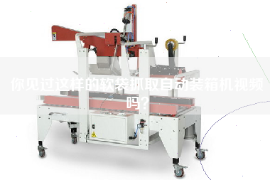 你見過這樣的軟袋抓取自動裝箱機視頻嗎? 你見過這樣的軟袋抓取自動裝箱機視頻嗎?