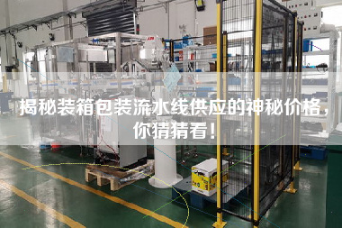 揭秘裝箱包裝流水線供應(yīng)的神秘價(jià)格，你猜猜看！