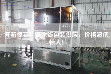 開箱驚喜！流水線包裝供應，價格超低驚人！