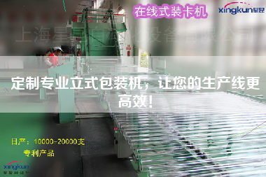 定制專業立式包裝機，讓您的生產線更高效！