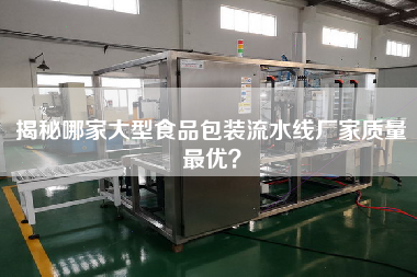 揭秘哪家大型食品包裝流水線廠家質(zhì)量最優(yōu)？
