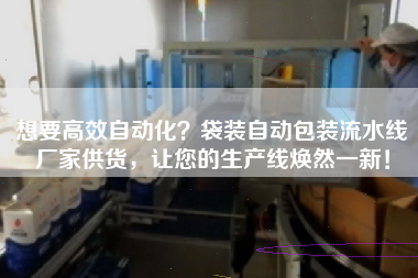 想要高效自動(dòng)化？袋裝自動(dòng)包裝流水線廠家供貨，讓您的生產(chǎn)線煥然一新！