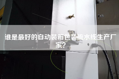 誰是最好的自動裝箱包裝流水線生產廠家？
