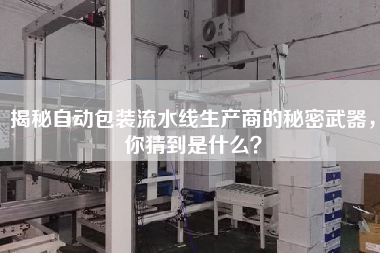 揭秘自動包裝流水線生產商的秘密武器，你猜到是什么？