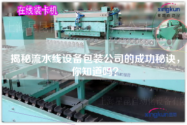 揭秘流水線設(shè)備包裝公司的成功秘訣，你知道嗎？