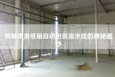 揭秘貴港紙箱自動包裝流水線的神秘面紗 揭秘貴港紙箱自動包裝流水線的神秘面紗