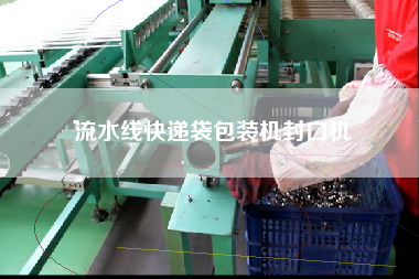 流水線快遞袋包裝機封口機 流水線快遞袋包裝機封口機